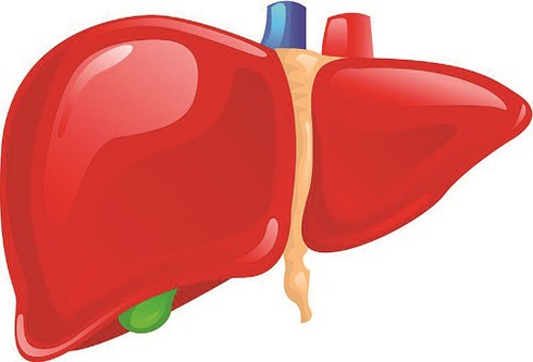 SẢN PHẨM BỔ GAN