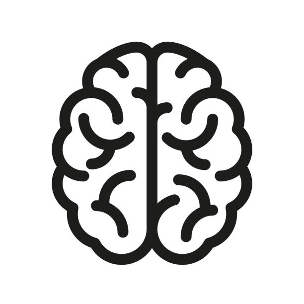 SẢN PHẨM BỔ NÃO